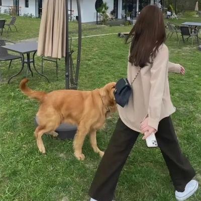 尼罗河之子